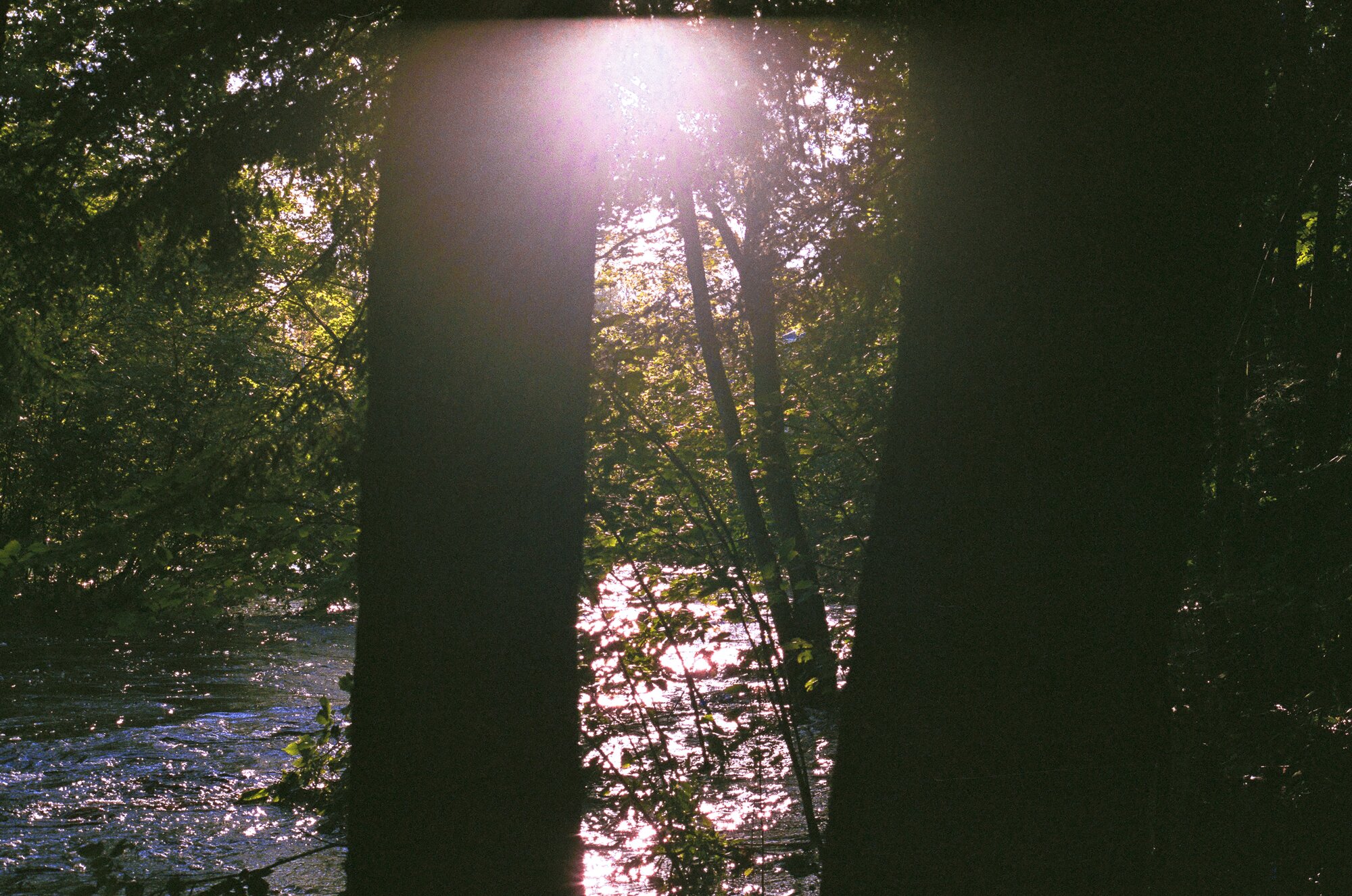 First shot ever through the Canon AE-1 Program and a roll of Fuji 400.